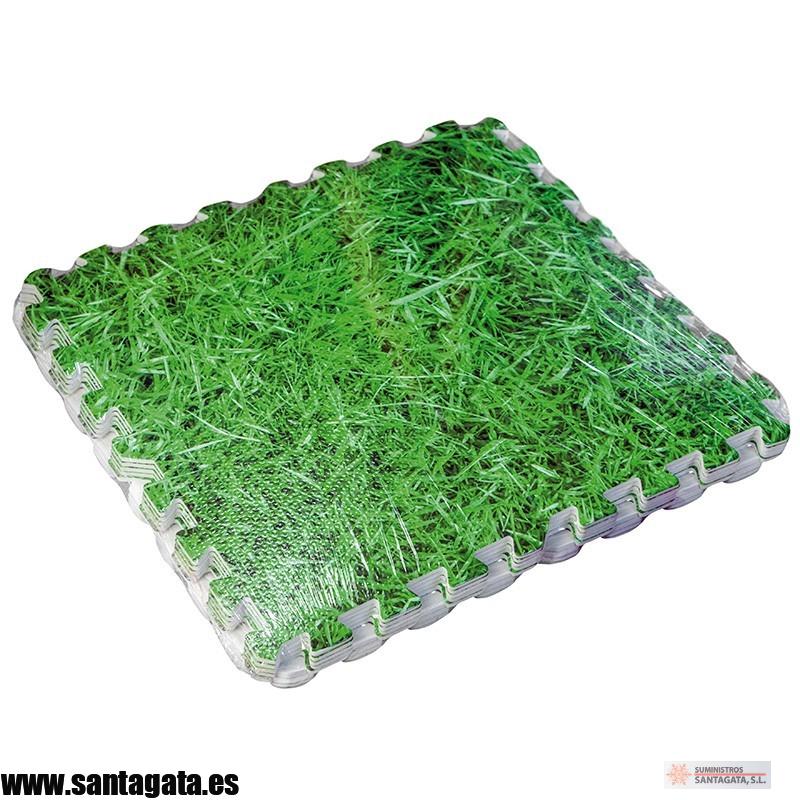 PROTECTOR MPF509GR 2